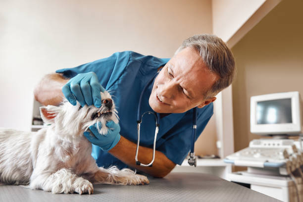 Best Tooth Infection Emergency Dentist  in Cimarron, KS